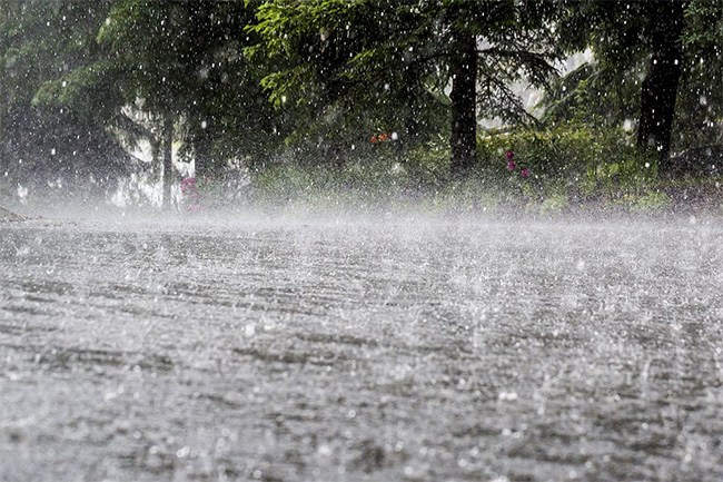 Showery condition expected to enhance from today