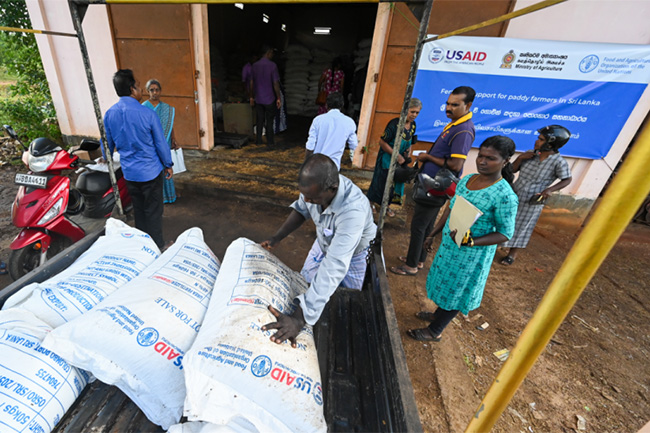 FAO, USAID to deliver TSP fertilizer to all paddy farmers in Sri Lanka