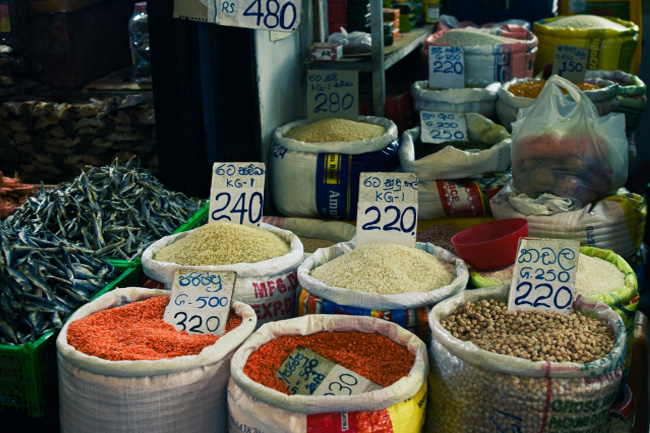 Economic crisis worsens Sri Lankas food insecurity levels  Report 