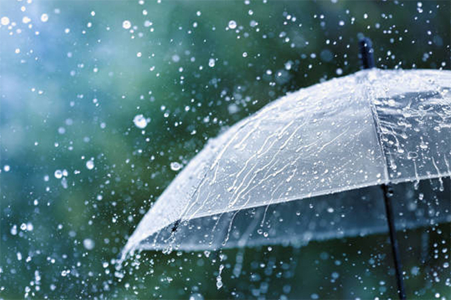 Few showers expected in several areas today