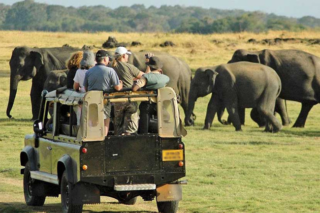 Dollar payments to be accepted for national park entrance fee