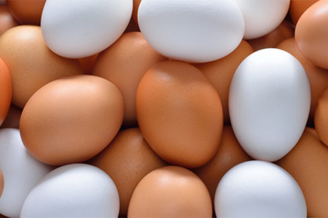 Egg imports from India not to be permitted?