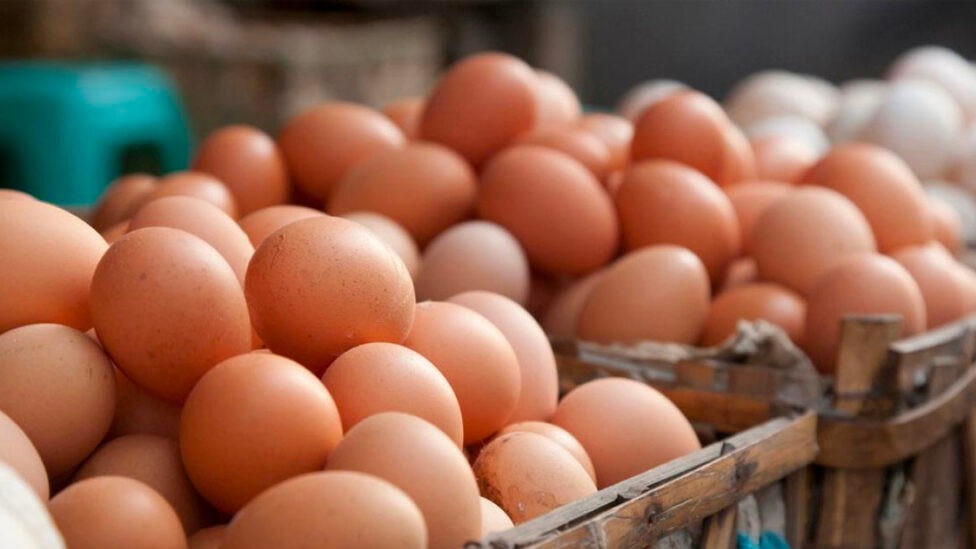 Legal action to be taken against those selling eggs above MRP