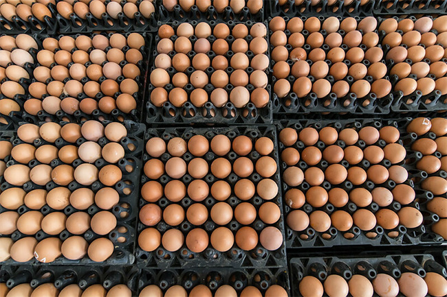 Egg imports: Pakistan rebuts Sri Lankan official’s statement on bird flu