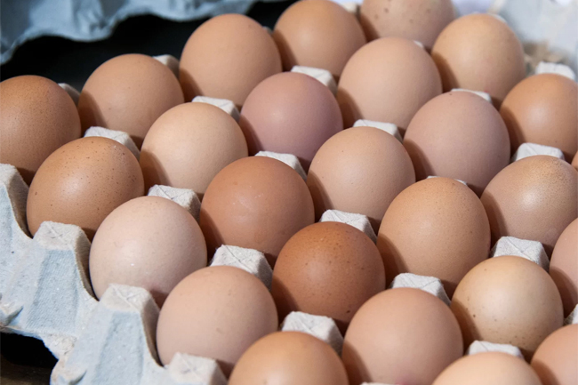 COPE raises concerns about practicality of pricing formula for eggs 