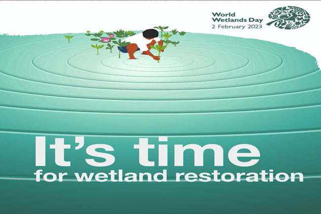 World Wetlands Day marked today