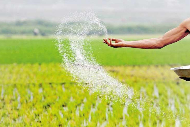 Govt to implement common national policy on use of chemical and organic fertilizers