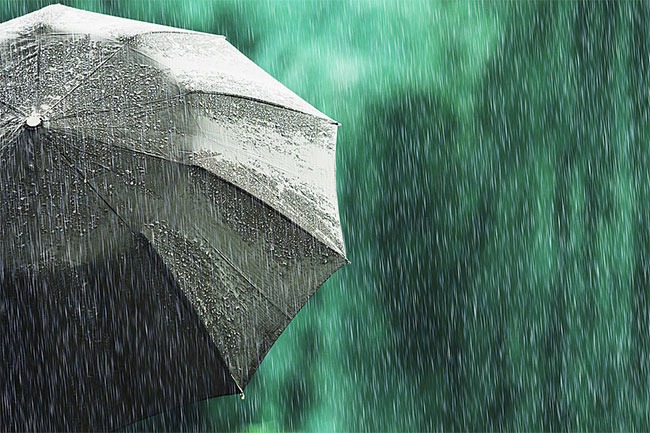 Showers expected in several districts