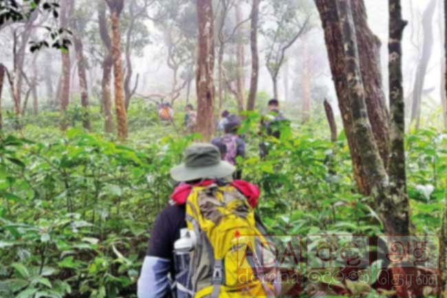 33 youths stranded in Knuckles forest reserve rescued