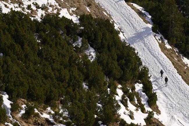 Austrian children take government to court over climate