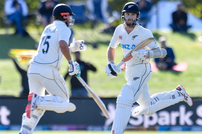 Williamsons ton leads Kiwis to nail-biting Test win against Lions