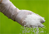 Urea prices to be slashed