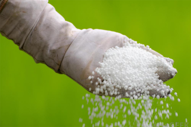 Urea prices to be slashed