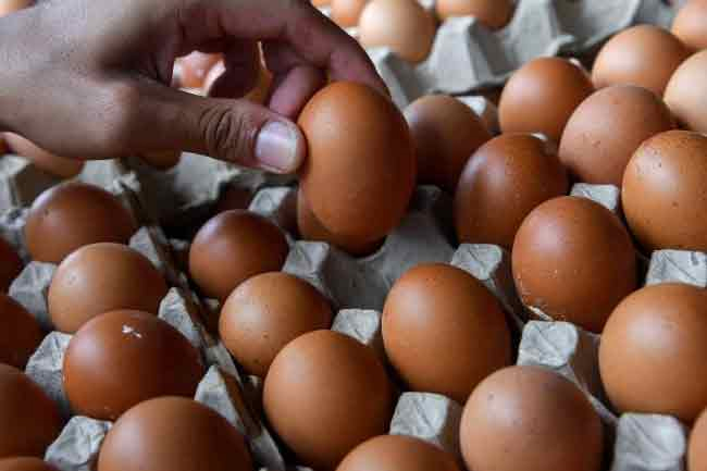 Second stock of imported eggs to get clearance today