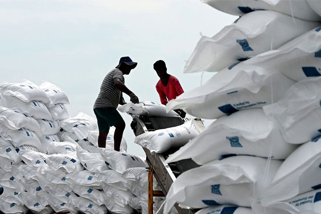 FAO delivers 3,820 tonnes of urea fertilizer for 72,200 smallholder paddy farmers