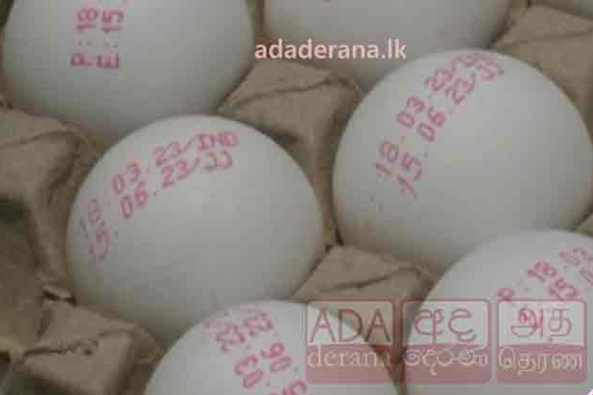Fourth shipment of imported eggs to arrive today