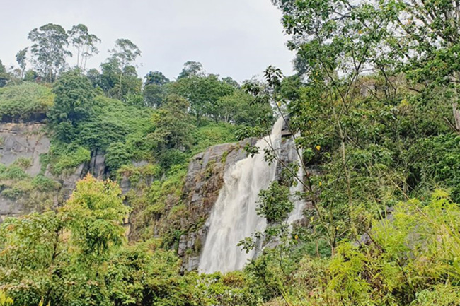 Mother of four takes fatal leap at Devon Falls 