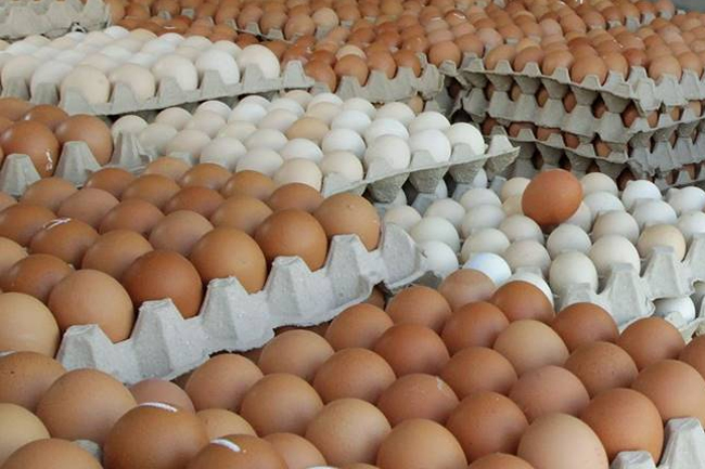 Distribution held up due to delayed sample reports on imported eggs
