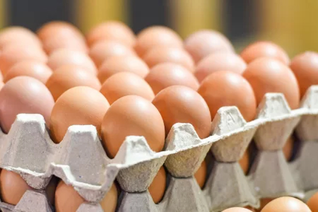 STC moots selling imported eggs to general consumers