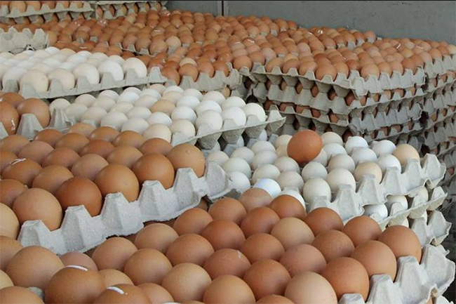 Maximum retail price on eggs to be scrapped?