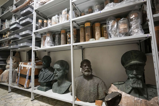 Italy begins to reckon with Fascist-era colonial collections