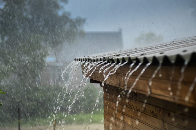 Fairly heavy rains above 50 mm expected in three districts
