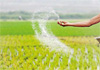 Minister assures urea fertilizer price will drop below Rs. 9,000 