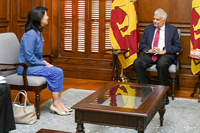 UNDP envoy in Sri Lanka meets with President Ranil