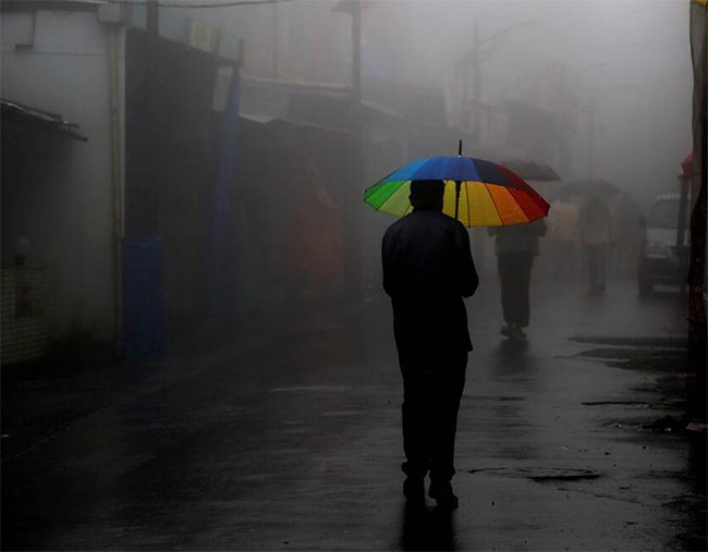 Very heavy showers above 150 mm expected in several areas