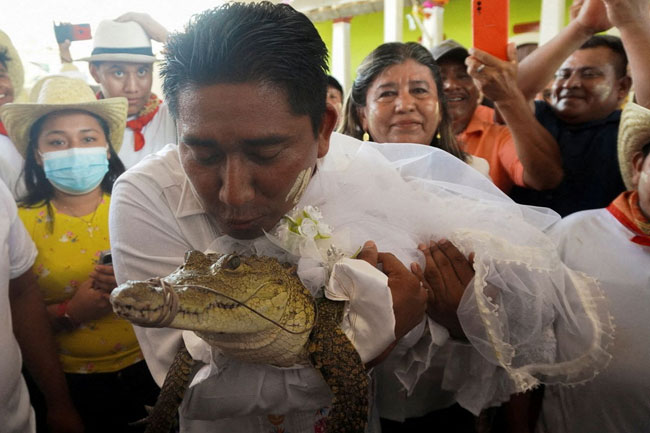 Mexico: Mayor marries alligator-like reptile who he calls princess girl