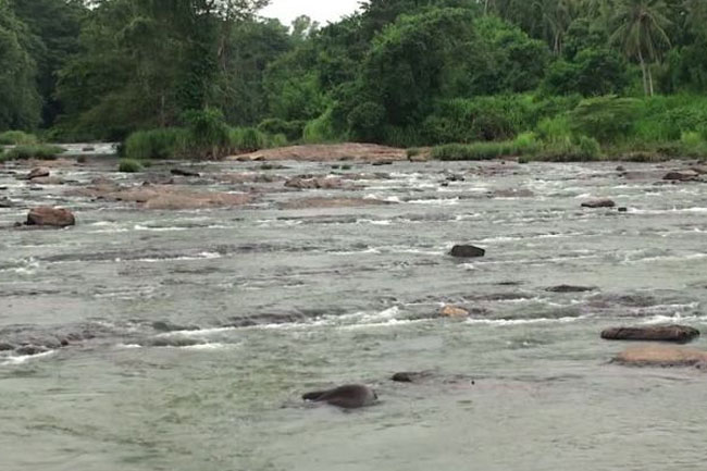 Young woman missing after falling into Attanagalu Oya while taking selfie