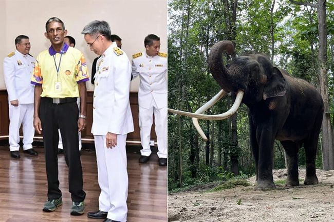 Thai royal family honours Sri Lankan caretaker of tusker Muthu Raja