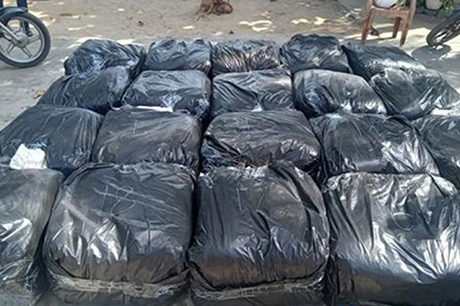 Over 557kg of smuggled Kendu leaves seized in Negombo lagoon