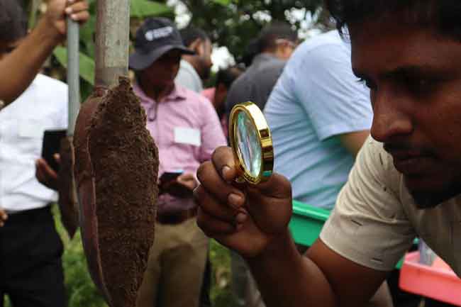 FAO launches training programme for 300 Agriculture Extension Officers in Sri Lanka