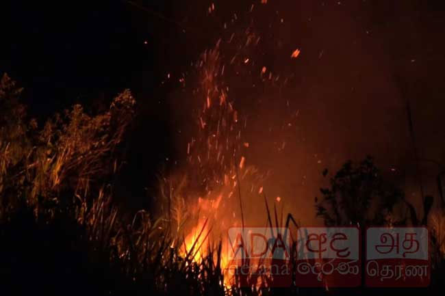 Sudden fire reported in Thabbowa sanctuary