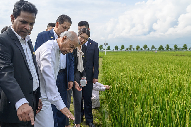 Sri Lanka invites Chinese experts to begin pilot project on high-yielding paddy farming