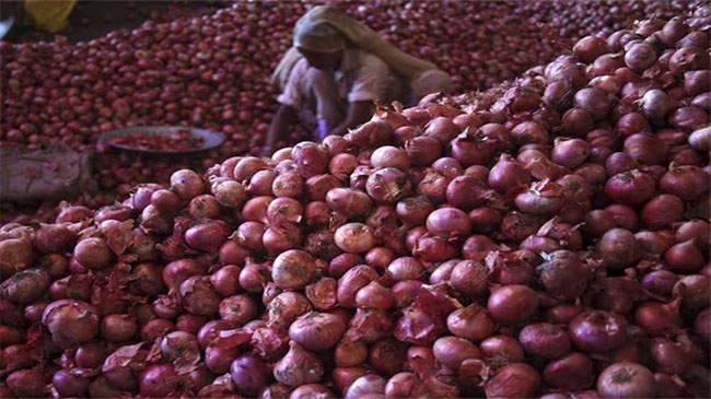 India imposes 40% export duty on onions to calm rising prices