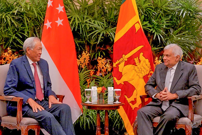 President holds talks on regional stability with Singapores Defence Minister