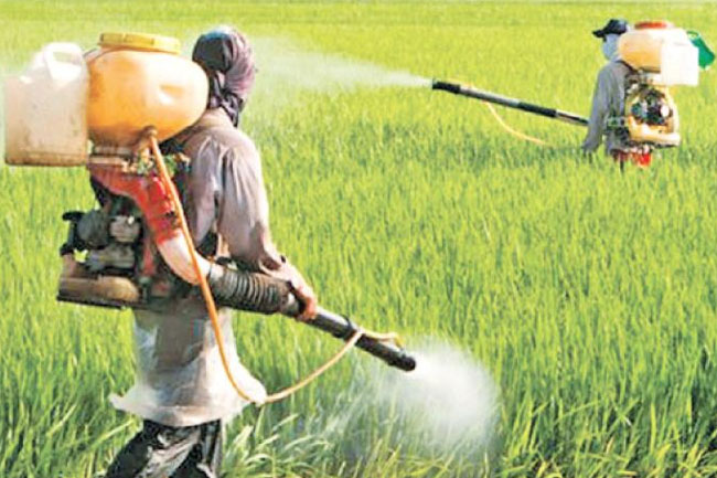 Agri. Minister calls for report on claims that highly hazardous pesticides being used in Sri Lanka