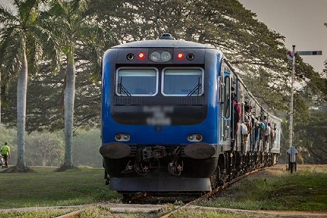 Train operations on Puttalam Line disrupted by fallen tree