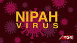 Sri Lanka to import test kits to detect Nipah virus after outbreak in Kerala (English)