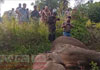 Six elephants killed in two separate train collisions 