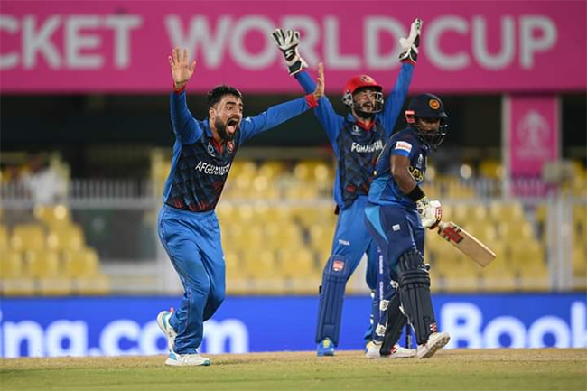 CWC23: Afghanistan beat Sri Lanka by 6 wickets in rain-hit warm-up match