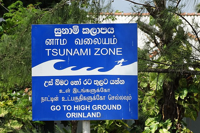 Tsunami evacuation drills in 3 districts today