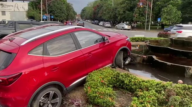 Traffic cop who died after being hit by SUV posthumously promoted