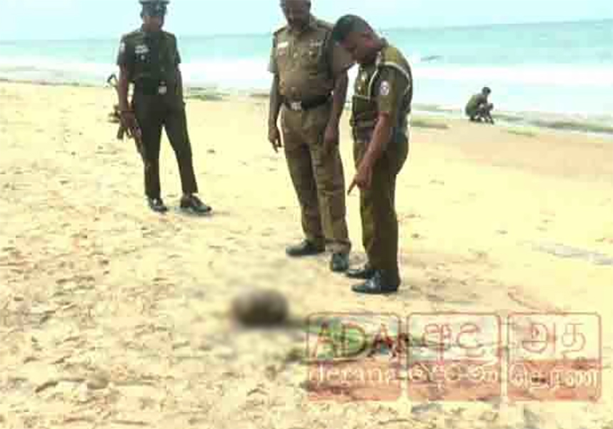 Severed head found in Parana Ambalama Beach