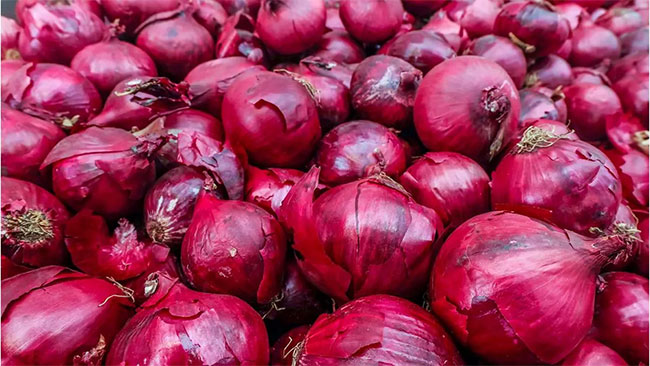 India sets $800 per ton minimum export price on onions till end-December