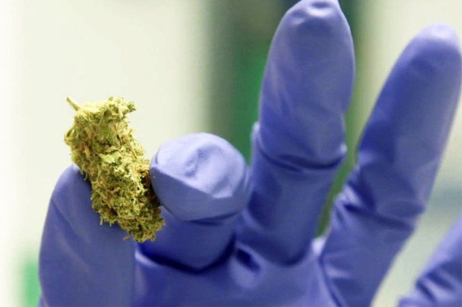 Japan to legalise cannabis-based medicines