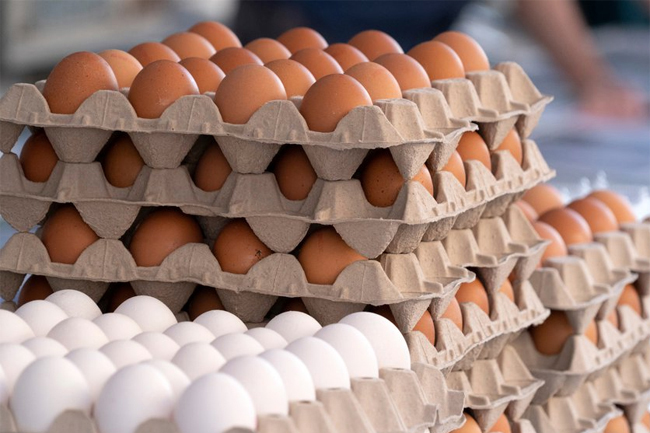 Eggs to be imported as prices continue to soar