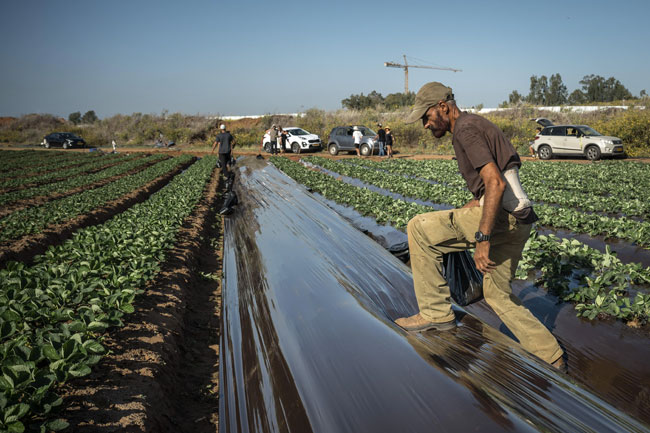 Sri Lankan workers plug gap in Israeli labor force